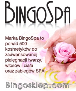 bingospa-baner-250x300(1)