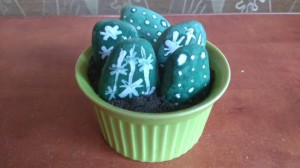 kaktusy z kamieni 6