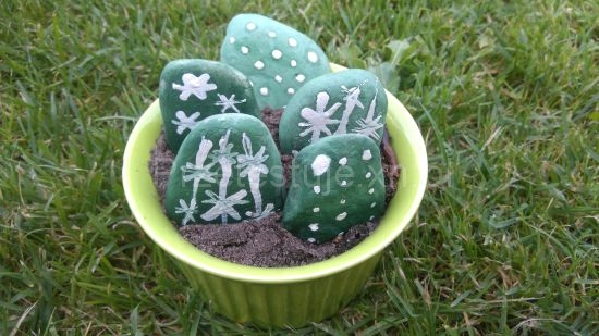 kaktusy z kamieni 7