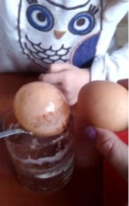 Dwa jajka