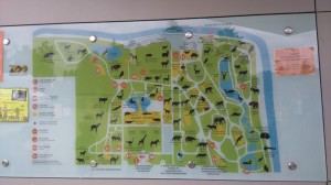 atrakcje wrocławskiego zoo